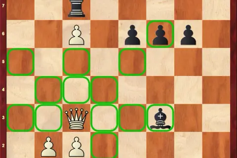 Hetman czy królowa? Oficjalna nazwa figury w polskich szachach