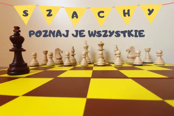 Jak nazywają się pionki w szachach? Poznaj wszystkie bierki!